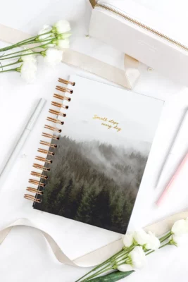 Školský diár Happy Calendar 25/26 - Les